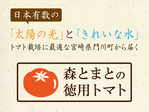 さわやかな甘味が特徴の徳用トマト5kg　宮崎県産
