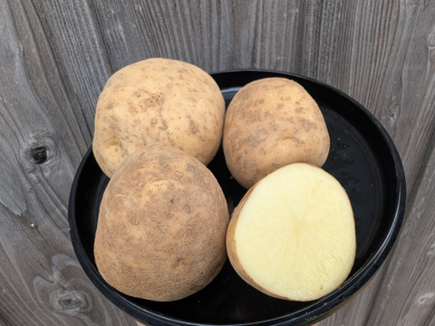 《規格外》２KG  品種ニシユタカ 五島列島産 自然農業での栽培