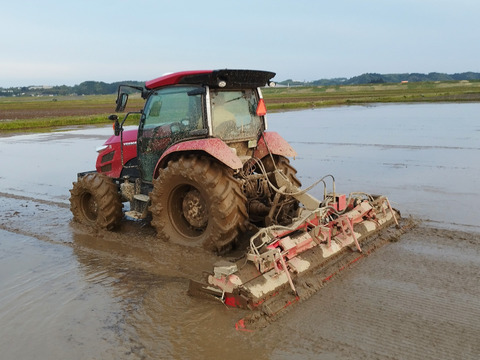 【令和7年産新米予約】有機栽培コシヒカリ（分づき精米）５㎏