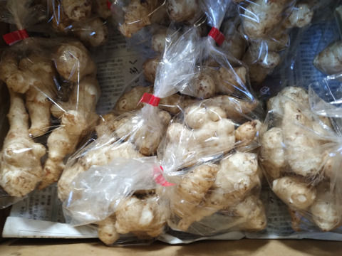 【80サイズ4.8kg】雪や寒さにあたり甘み増しマシのキクイモ【なべくら高原産・世界三大健康野菜】