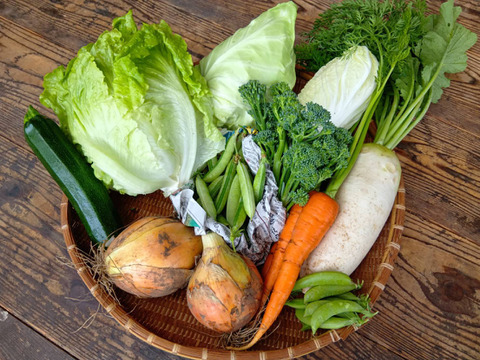 八ヶ岳高原から直送!旬の野菜セット8品目以上　100サイズ