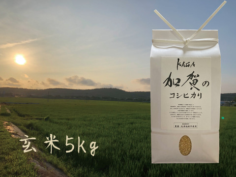 【令和2年産】農薬・化学肥料不使用-加賀のコシヒカリ玄米5㎏