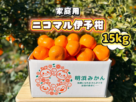 🍊香り推し🍊伊予柑　家庭用 15kg