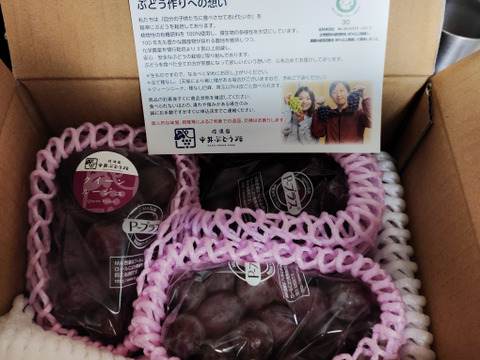 規格外！　長野県限定！数量限定！☆訳ありクイーンルージュ®︎☆ 家庭用２〜４房　１kg箱