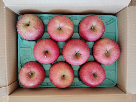 信州りんご🍎大中玉2.5キロパック入り