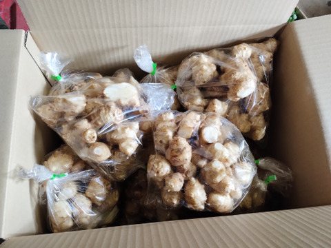 期間限定・春の野菜セット【60サイズ】※野沢菜とう立ち菜、雪下ほうれん草、雪下キクイモ