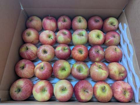 完売間近！！人気のご家庭用赤りんご🍎品種おまかせ小玉サイズ4kg 低農薬で安心！【小玉りんご】