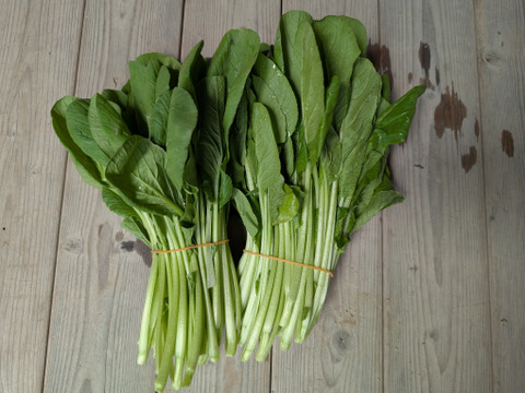 京の野菜セット【漢方栽培】