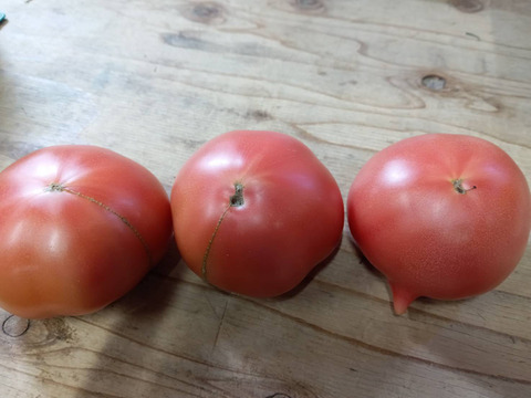 大玉・小玉　欲張り食べ比べセット！