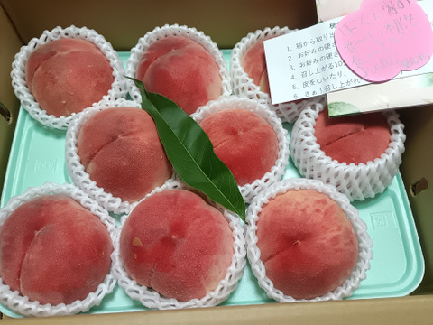 【夏ギフト】 あかつき 約3kg 8～10個