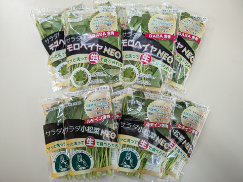 【★機能性野菜・2種類セット★】　サラダ小松菜NEO（ルテイン含有機能性表示食品、50ｇ×5袋）サラダモロヘイヤNEO（GABA含有機能性表示食品、60ｇ×5袋）をセットにしました！！