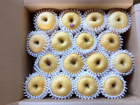 【岩手・紫波町】希少品種🍏特別栽培「はるか」5kg