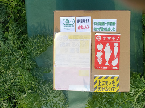 【有機JAS認証取得】冬が旬！あま～い有機にんじんバラ売り3kg程度