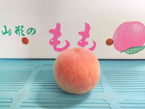 川中島白桃4kg箱2箱セット 川中島 4kg(2kg×2箱) 特秀 ギフトにも使える 山形県産 1箱に8