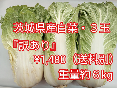 【冬野菜の王様・白菜】訳あり『白菜生産日本一の茨城県産』３玉 約６kg