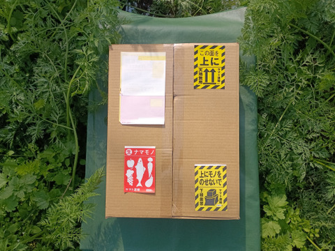 【有機JAS認証取得】冬が旬！あま～い有機にんじん8袋入り