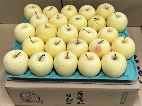 【小玉】「有袋!金星!! 」家庭用約4.5Kg　青森県産 数量限定　金星　きんせい　りんご