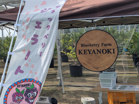 【冬ギフト】爽やか！ブラックベリージェラート４個と冷凍ブラックベリー200gのセット