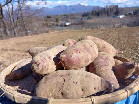 ねっとり極甘　さつまいも　紅はるか５Kg