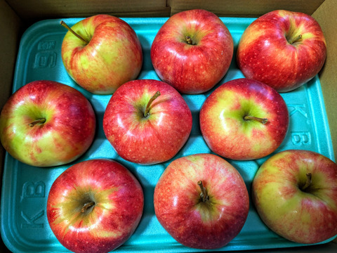 【10月発送】農薬50%削減🍎ジョナゴールド🍎3kg ジューシーで爽やかな酸味😆 キズなし良品🎁 化学肥料不使用 特別栽培りんご 予約 人気