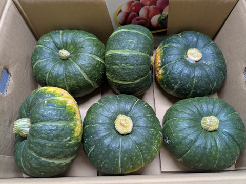 桃のそばでおいしい！桃栗かぼちゃ！しっとりだけどホクホクで濃い！4ー6個入