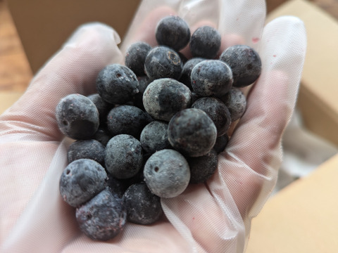 【冷凍ベリー】ブルーベリーとブラックベリーの贅沢セット（500g）