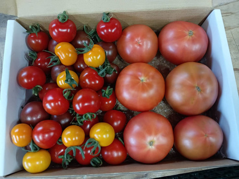 大玉・小玉　欲張り食べ比べセット！