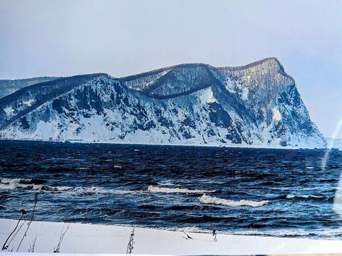 北海道産！シャインマスカット『シリパの瞳』９００g