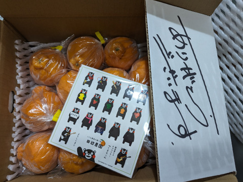 出産祝いなども豊富 不知火デコ柑3k以上入ってます、サイズコミコミB品小玉多めに 果物