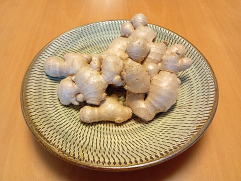 親しょうが2000g（有機JAS認証）