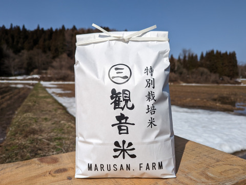 青森/特別栽培米【観音米～KANNONMAI～】１０kg つがるロマン