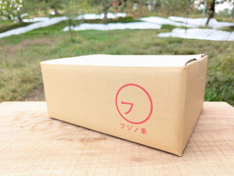 【小玉りんご】ふじ！りんごの王様【贈答規格2kg】