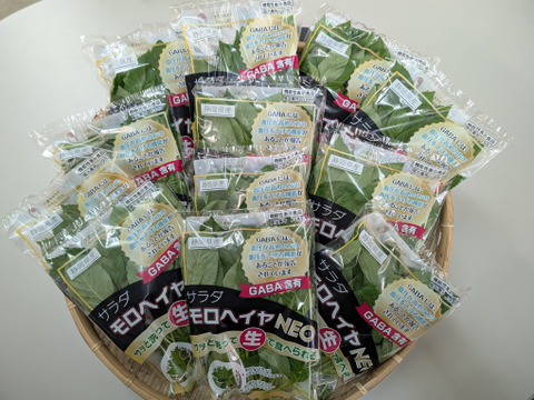 【★生で食べるサラダモロヘイヤNEO！！★】（60ｇ×12袋）NEOシリーズ第2弾！！【GABA含有、機能性表示食品 】期間限定（5～10月頃）