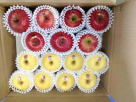 【岩手・紫波町】🍎🍏特別栽培「サンふじ」「はるか」の詰め合わせ（家庭用5kg・14～16玉）