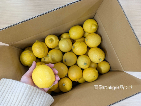 「ちばエコ農産物」認証鴨川レモン 秀品3kg【食べて実感！まろやかな酸味】農薬最小限