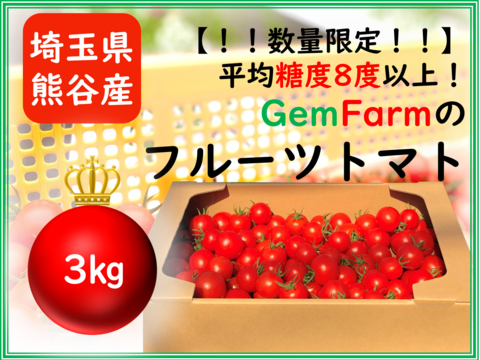 【数量限定】平均糖度8度以上！珠玉のフルーツトマト（3kg）