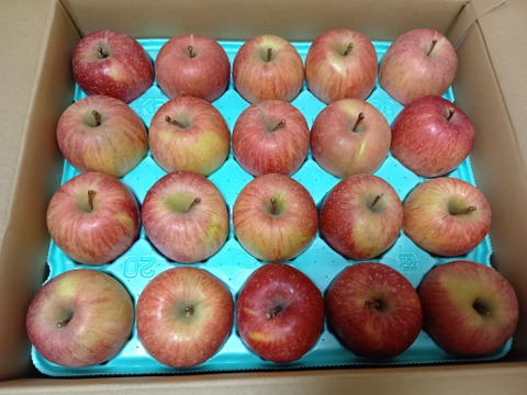 農薬半減栽培【キズなし良品】低農薬で皮ごとうまい🍎サンふじ🍎5kg  葉とらずりんご 予約 旬 化学肥料不使用 特別栽培認証取得