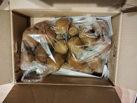 ビッくりキウイふる～つ （偏平Ｌ） 4キロ【品種ヘイワード】）