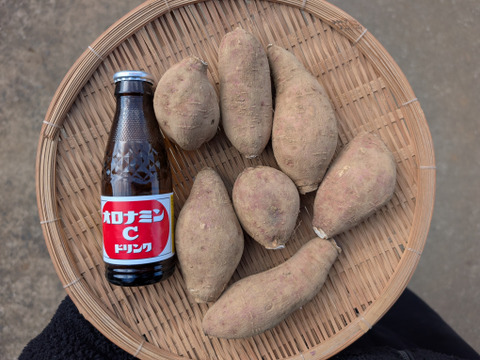 発送中🍠【規格外】ねっとり甘い安納芋１０KG 焼き芋にピッタリ！五島の海水を使って育てました！農薬/化学肥料不使用 サツマイモ/さつまいも