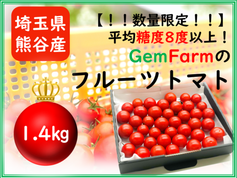 【数量限定】平均糖度8度以上！珠玉のフルーツトマト（1.4kg）