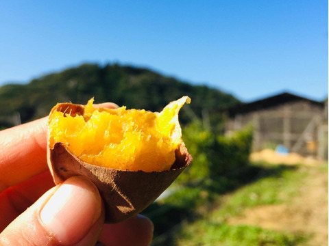 サツマイモとお菓子のセット