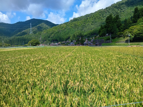 農薬不使用【白米4.5kg】京都・美山産