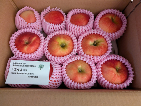 近日中発送！希少りんご❗️シャキシャキ！さんさ 約2kg 信州りんご