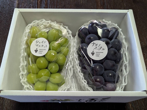 夏ギフト　エメラルドな輝き『シャインマスカット』&黒い葡萄『ナガノパープル』まるごと食べられるぶどう2房箱（一房約500g）