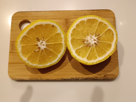 はるか　春の味　家庭用Ｂ品　箱込み4.5キロ