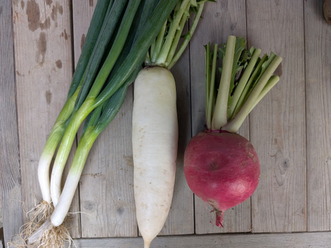 京の旬野菜セット--9種--【漢方栽培】