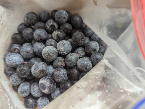 【農薬*除草剤は使わず育てました】冷凍完熟ブルーベリー 1kg