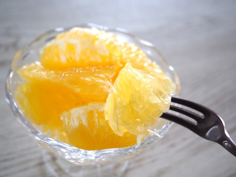 夏ギフト】🍊わずか3%の希少な柑橘🍊断崖絶壁で収穫される『幻の