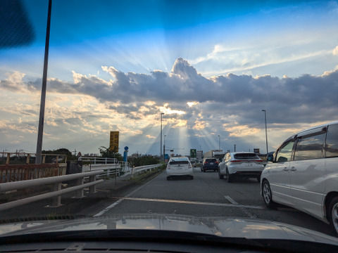 ★NEW★山梨県産 ピオ－ネ（約1.8㎏）