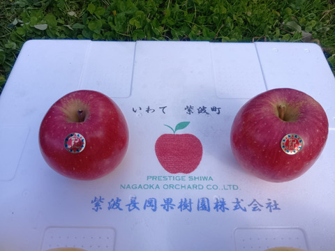 【岩手・紫波町】特別栽培サンふじ・こうこうなどの食べ頃りんご詰め合わせ（無印・5kg）